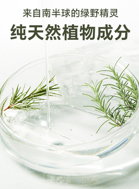茶树油室内植物单方香薰精油香薰机扩香石空间香氛精油