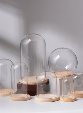 手办桌面摆件透明玻璃永生花