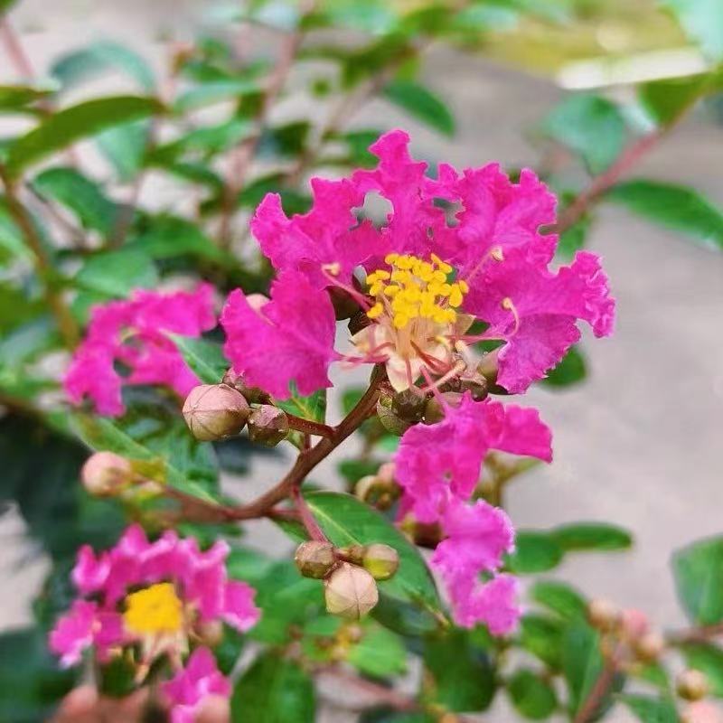 图5