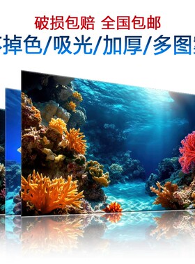 3d立体高清图海底珊瑚5d水族箱造景装饰贴纸新款高端鱼缸背景贴纸