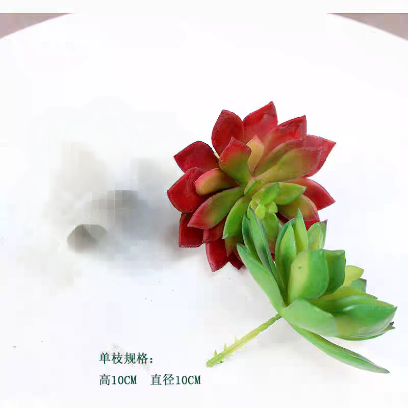 仿真多肉摆件假多肉植物桌摆小绿植热带景观家居点缀装饰小花小草 - 图3