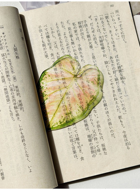 光拾小清新彩叶芋亚克力透光书签
