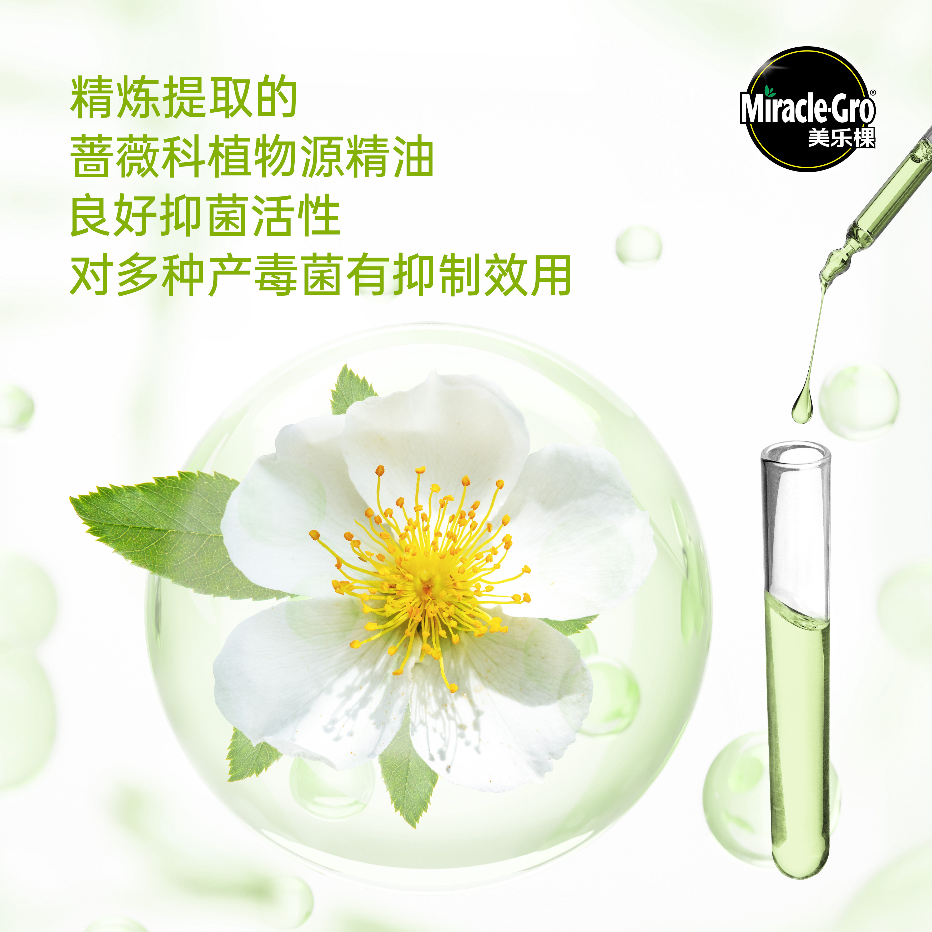美乐棵植物精油防护剂家用园艺无毒防虫驱虫通用型养花花卉专用,淘宝优惠券,粉丝福利购,淘宝优惠卷
