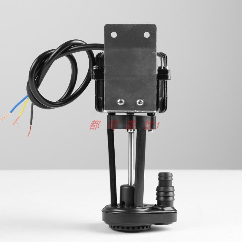 制冰机水泵2W星极百誉爱雪东贝耐雪安雪制冰机2w水泵YSP2P JDVF2 - 图1