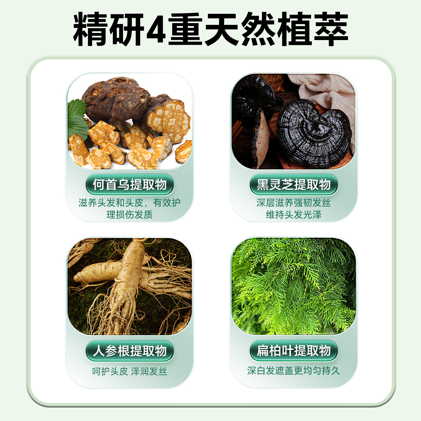 染发剂植物纯自己在家泡染发膏女男官方正品显白黑茶色天然一梳黑