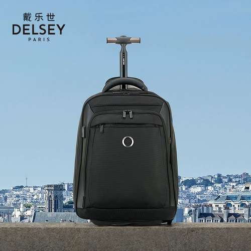 DELSEY Чемодан подходит для мужчин и женщин для путешествий, износостойкий ноутбук, рюкзак, бизнес-версия