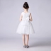 Lilan Duo Girls Dress Princess Dress Children Piano Dress Flower Boy Puffy White Super Fairy Summer Fairy - Váy trẻ em