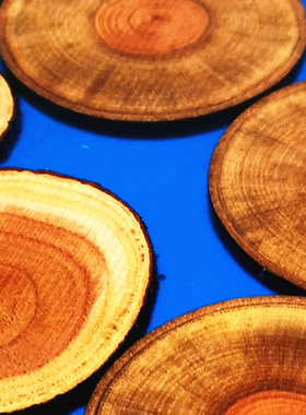 树脂圆形木板桌子茶盘年轮工艺品