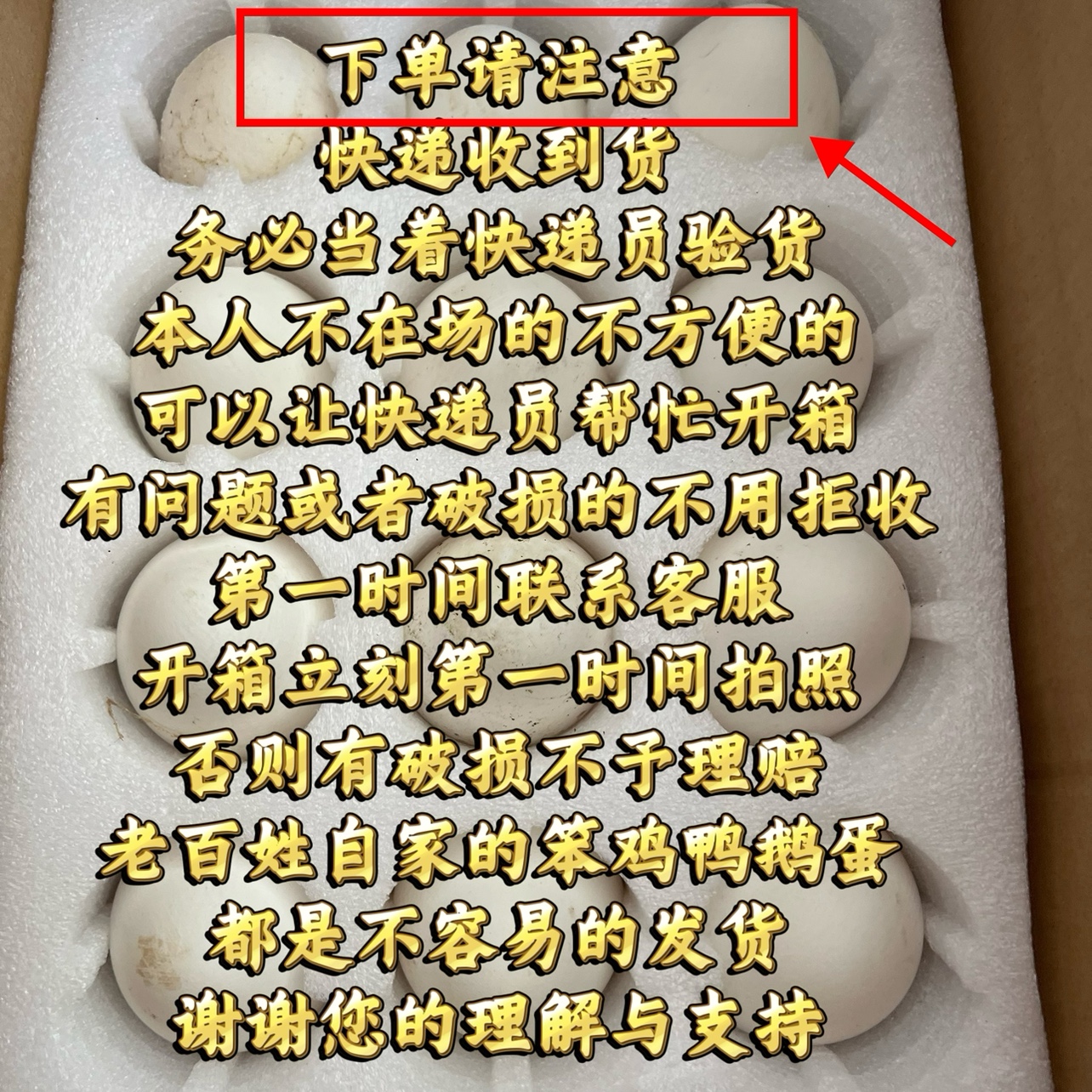 新鲜笨鹅蛋12个东北农家散养溜达大鹅蛋正宗土鹅蛋辽宁丹东笨鹅蛋 - 图0