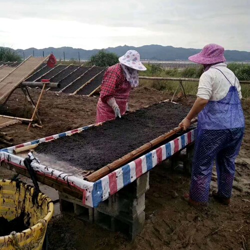 紫菜干货福建霞浦野生头水紫菜干货无沙免洗紫菜蛋汤包饭一斤散装 - 图1