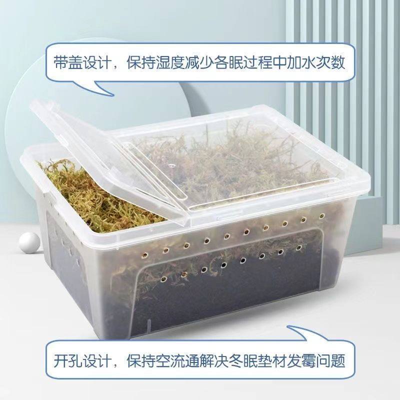 乌龟冬眠箱专用椰土过冬恒温箱保暖椰土干苔藓大小乌龟冬眠盒套装,淘宝优惠券,粉丝福利购,淘宝优惠卷