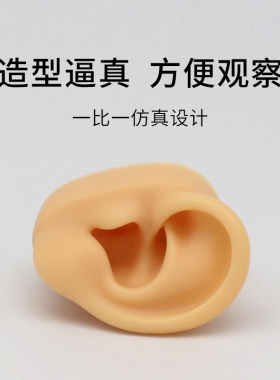 5D硅胶仿真假耳朵模型