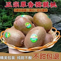 Shaanxi Week to Cuixiang Xu Xiangqi Exotic Fruits Green Heart Macaque Exotic Fruits Fresh Fruit Pure Sweet When Should Season The Whole Box