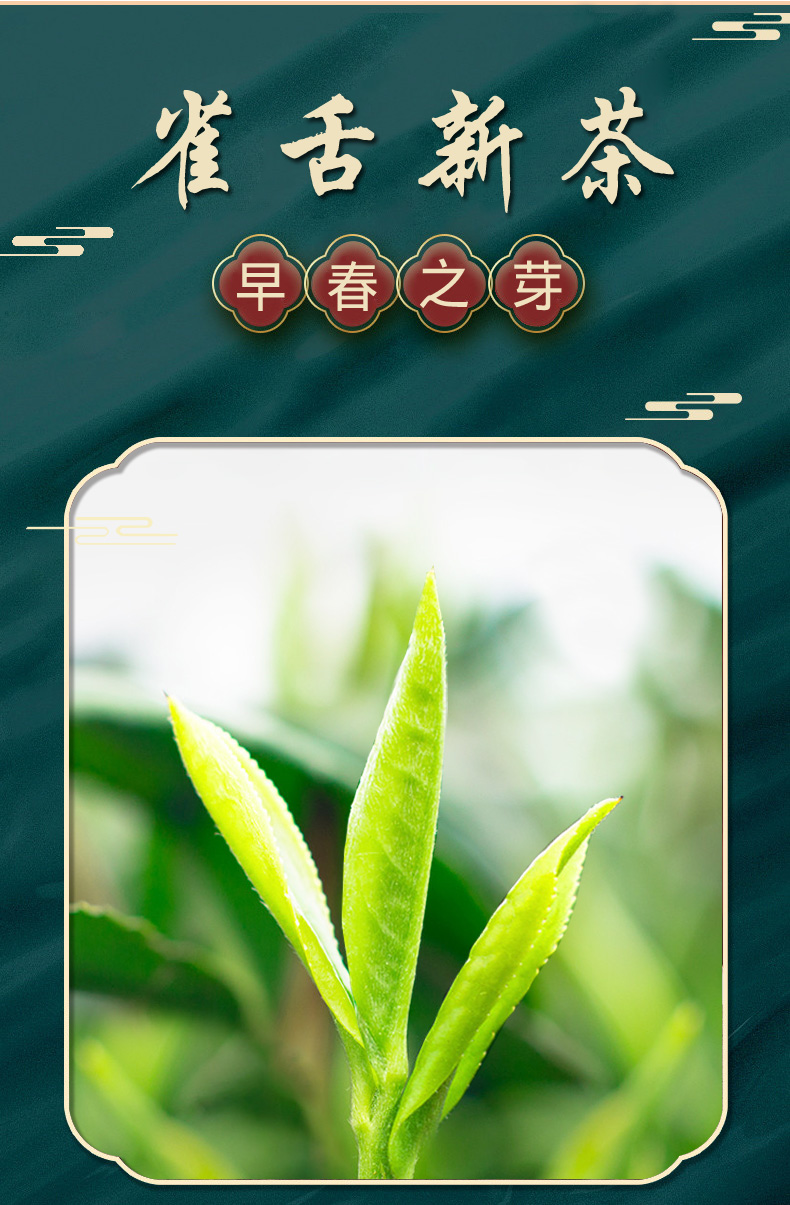 茶叶绿茶2022新茶雀舌特级毛尖礼盒装过节送礼品浓香嫩芽净重半斤