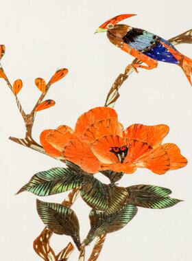 蝴蝶展 蝶翅画展 昆虫展 蜻蜓展 艺术展标本展 流动展害虫展动物2