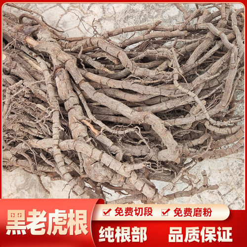 黑老虎根500g包邮野生 钻骨风 过山风风沙藤 冷饭团 钻山风中药材 - 图0