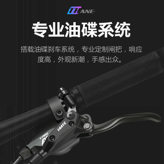 Philip 29-Zoll-Ölscheiben-Offroad-Mountainbike für Damen und Herren