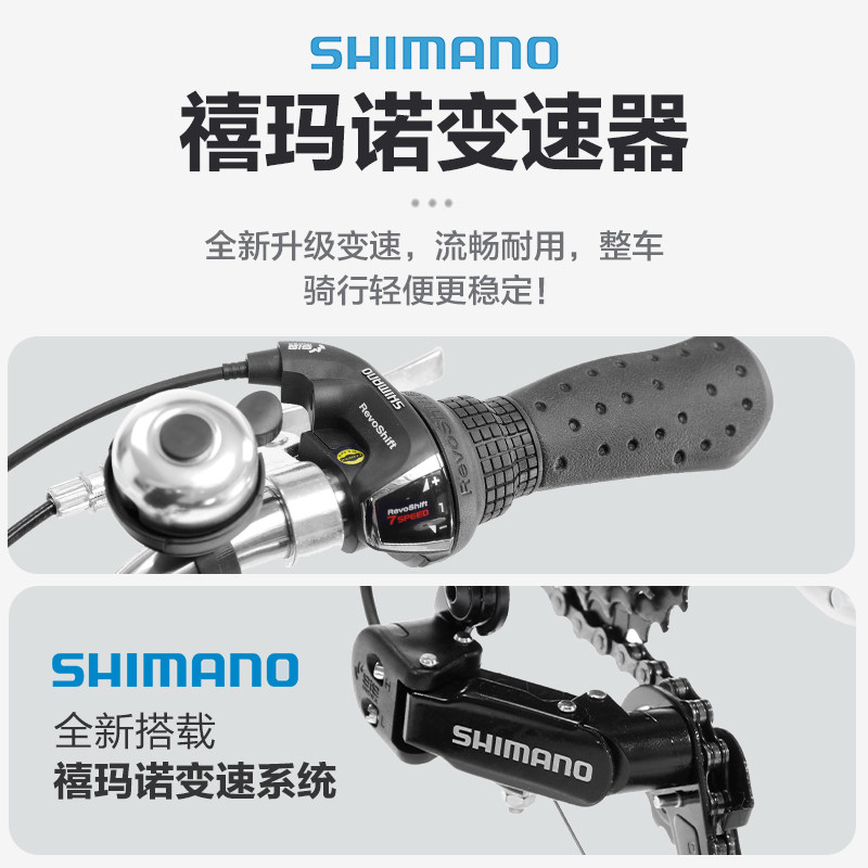 菲利普铝合金老人成人脚蹬三轮车 phillips三轮车