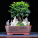 Handmade purple sand flower pot rectangular simple simple direct sales from the origin