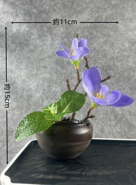 冷菜摆盘装饰花酒店意境菜品
