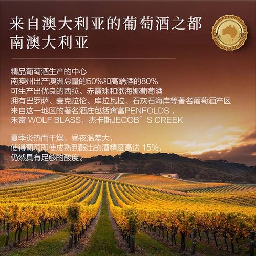 破碎包赔！大袋鼠红酒澳大利亚进口官方正品整箱6瓶干红葡萄酒 - 图2