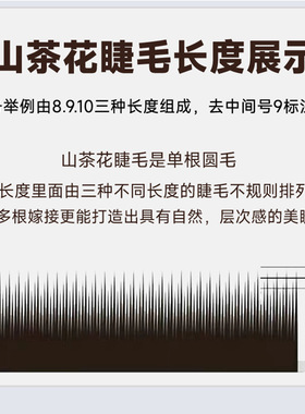 LC型狐系睫毛嫁接泰式L型广角兔猫系漫画山茶花不散根美睫店专用