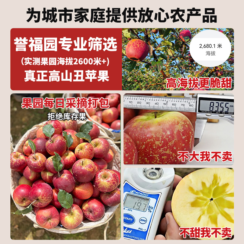 大凉山丑苹果10斤新鲜水果当季现摘盐源红富士冰糖心苹果整箱包邮