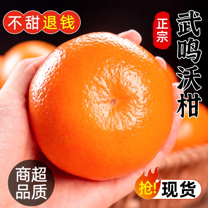 广西武鸣沃柑5斤新鲜水果当季整箱皇帝沙糖蜜橘砂糖柑橘桔子橘子-图1