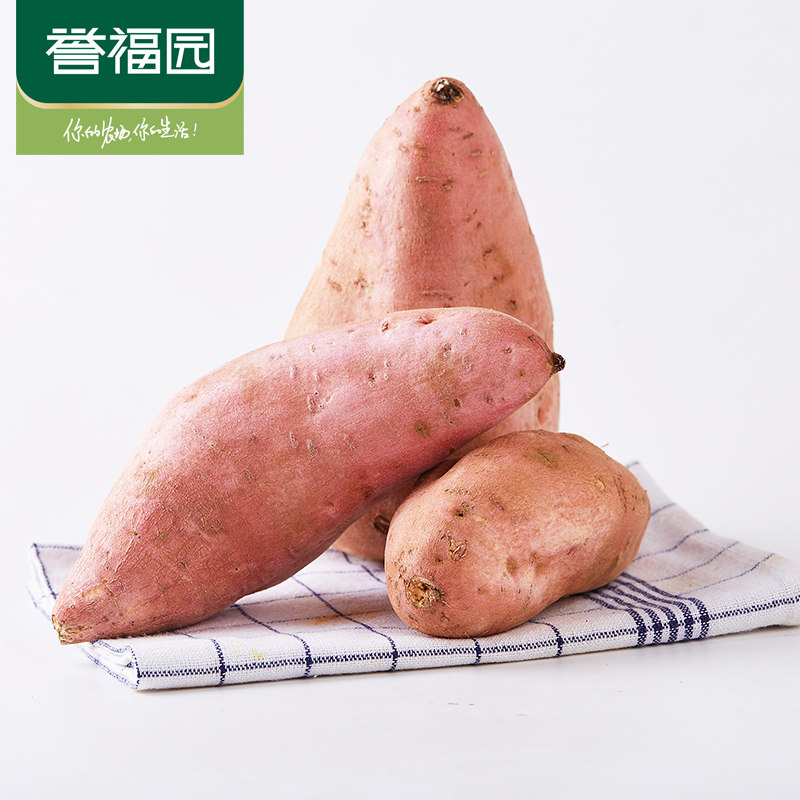  誉福园番薯