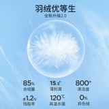 Осенняя летняя одежда, сезон 2022