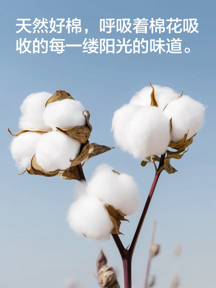 恒源祥男士内裤男生纯棉7A抗菌四角裤透气大码短裤衩平角裤头男款,淘宝优惠券,粉丝福利购,淘宝优惠卷