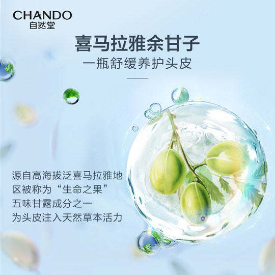 Chando Oil Control Fluffy Shampoo Refreshing Oily Head Shampoo Non-greasy Shampoo