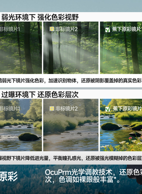 蕉下原彩户外折叠墨镜