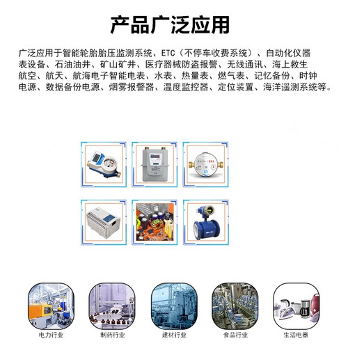 FDK富士CR17335SE 3V RB-5光洋专用电池爱普生控制器R13B060003 - 图1