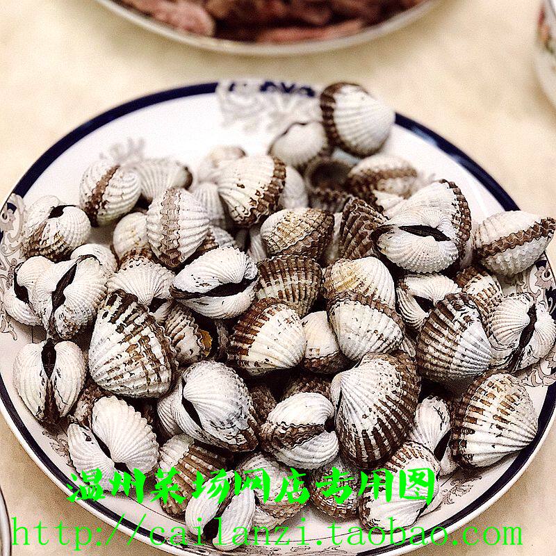 温州味道本地花蛤大颗粒血蛤全程保鲜快递 500g来自乐清湾_虎窝淘