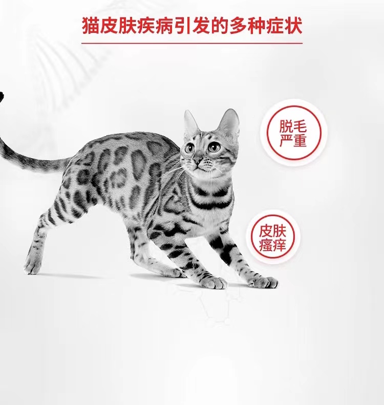 皇家猫粮成猫皮肤被毛处方粮SAC36全价宠物祛掉毛通用猫粮1.5KG-图2