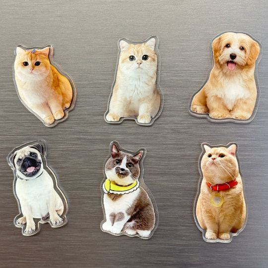 Acrylic refrigerator magnets customized with photos of pets, kittens and dogs, three-dimensional high-end healing magnet stickers customized