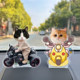 网红猫咪摇头汽车摆件定制diy创意车载中控台内宠物狗狗减压装饰