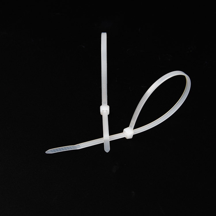 特惠白色扎带尼龙自锁式塑料卡扣扎线带捆绑 4*200强力束线带包邮,淘宝优惠券,粉丝福利购,淘宝优惠卷