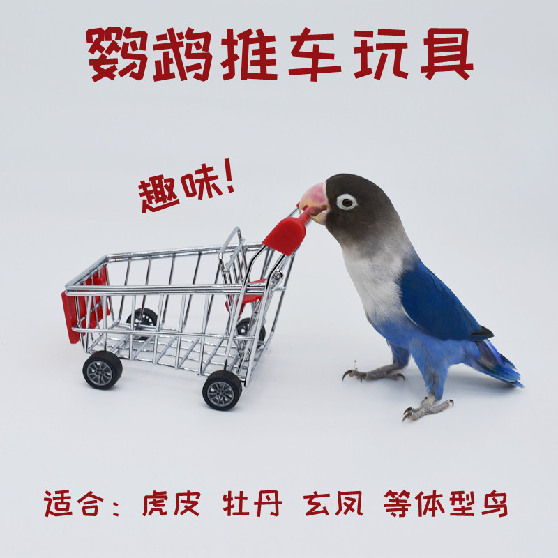 鹦鹉推车玩具小型虎皮小号超市购物车牡丹互动训练道具宠物鸟玩具,淘宝优惠券,粉丝福利购,淘宝优惠卷