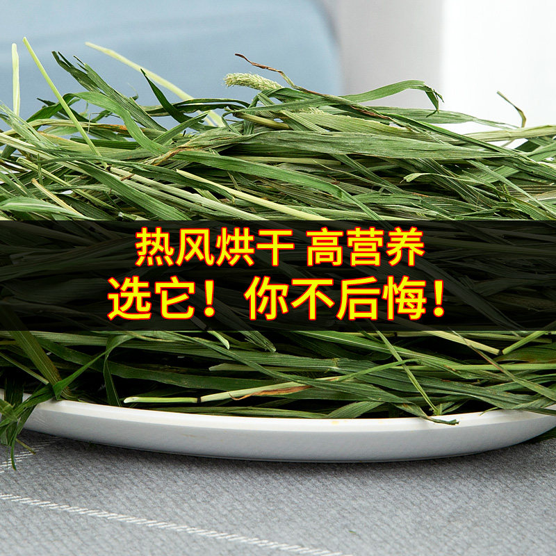 提摩西干草500g兔兔粮食特级兔子草粮牧草荷兰猪饲料龙猫干草,淘宝优惠券,粉丝福利购,淘宝优惠卷