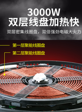 志高商用多头电磁炉煲仔饭