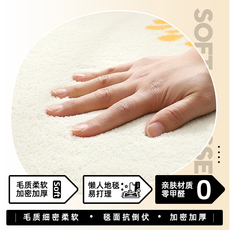 ковер 侘寂风加厚客厅大地毯卧室家用轻奢少女衣帽间床边地毯沙发茶几毯 Oumi Lai