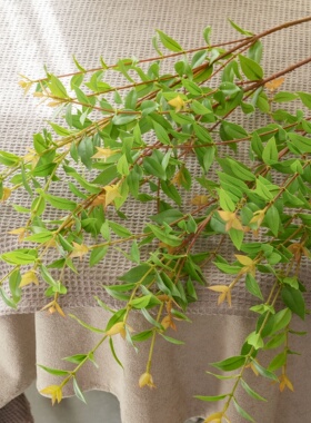仿真尤加利绿植假花清新摆件