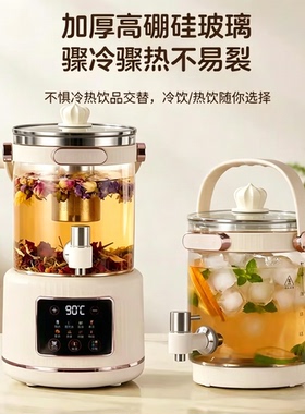 跨境110V美规养生壶办公室小型全自动家用多功能煮茶器烧水壶出口