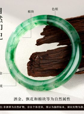 天然飘花非洲翠手镯优质品种独龙玉镯玉石高冰玉圆形高级感镯子女