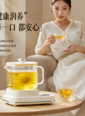 0胶水养生壶办公室预约煮茶器