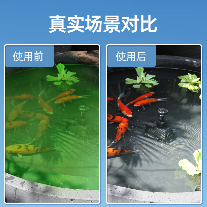 鱼池除藻剂青苔清除剂一次净神器鱼缸除藻去苔剂绿水蓝褐丝藻黑藻-图2