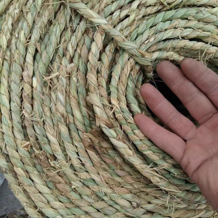 草绳稻草绳园林花木移栽包扎捆绑树木草绳子仿寒保暖加厚裹树布批,淘宝优惠券,粉丝福利购,淘宝优惠卷