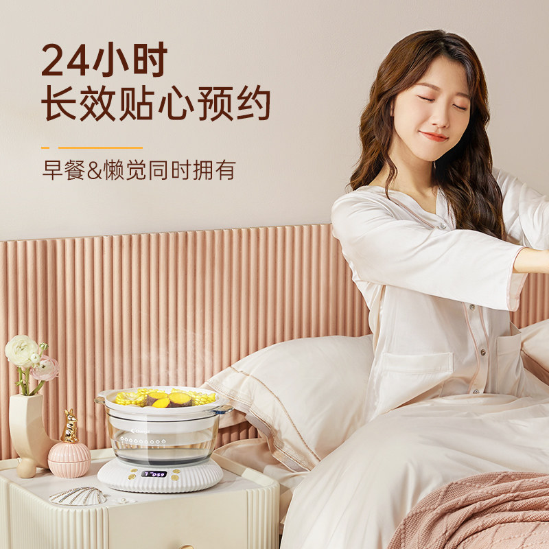 长帝隔水炖家用煮粥加热陶瓷煲汤锅 厨丽淘电器电炖/煮粥锅/文火炉